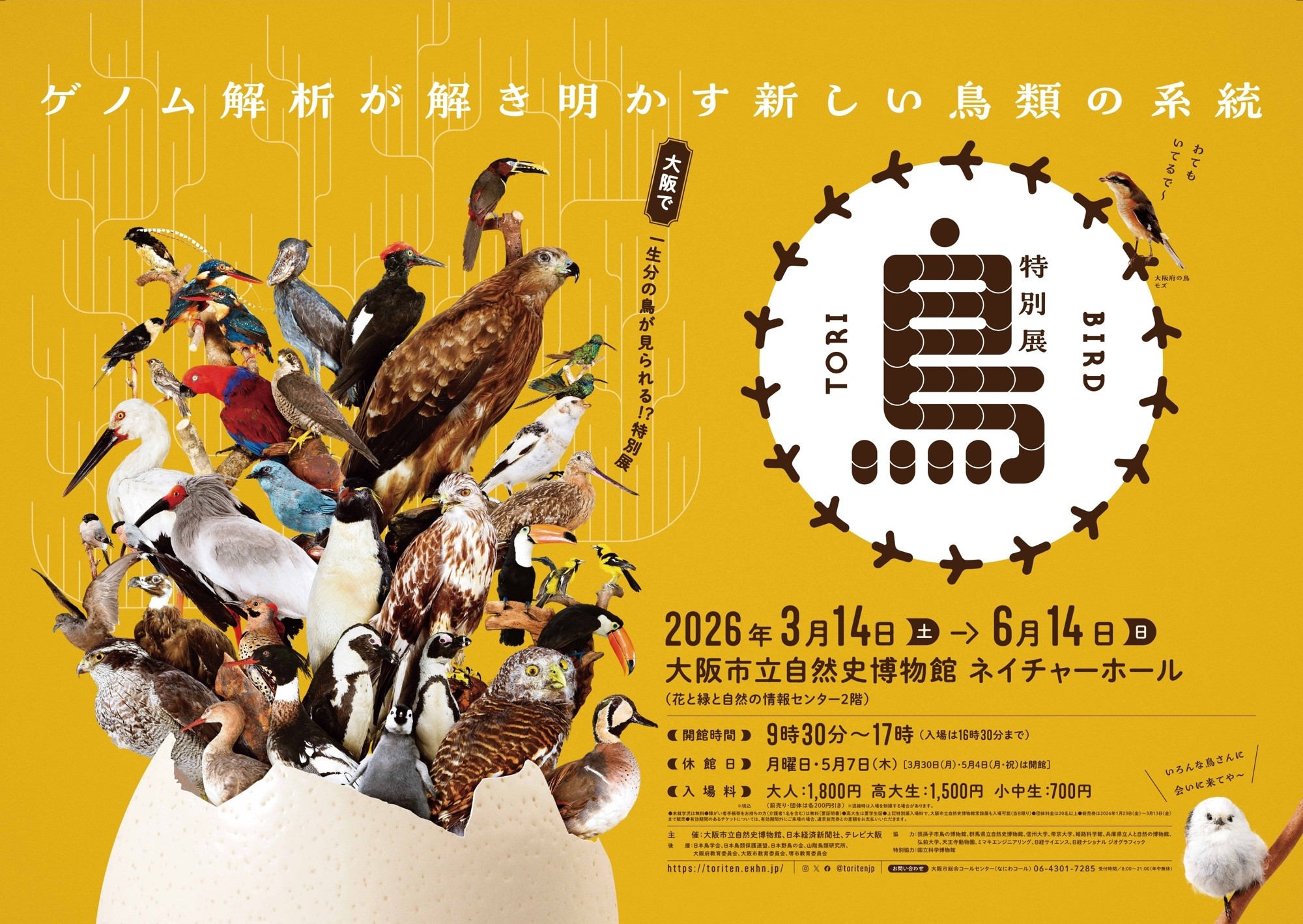 ことりすまいる、特別展「鳥」公式トリバサダーに就任！
