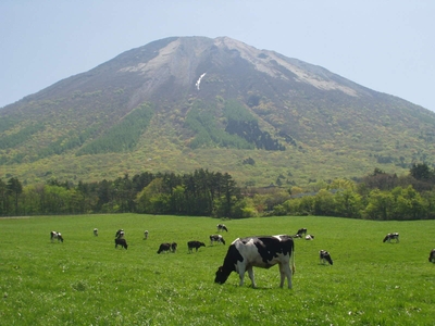 大山と乳牛