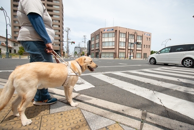 qaeKIfXy5qqGERNnO2BD.jpg?w=940&h=940