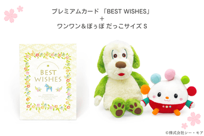 qasR7iHWNAlTK2kDLZxJ.png?w=940&h=940