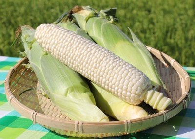 qaymp7TlZhrQvYCYFiyE.jpg?w=940&h=940