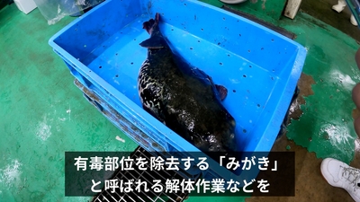 qcBhmJAo2jvm9bUuaJo2.jpg?w=940&h=940