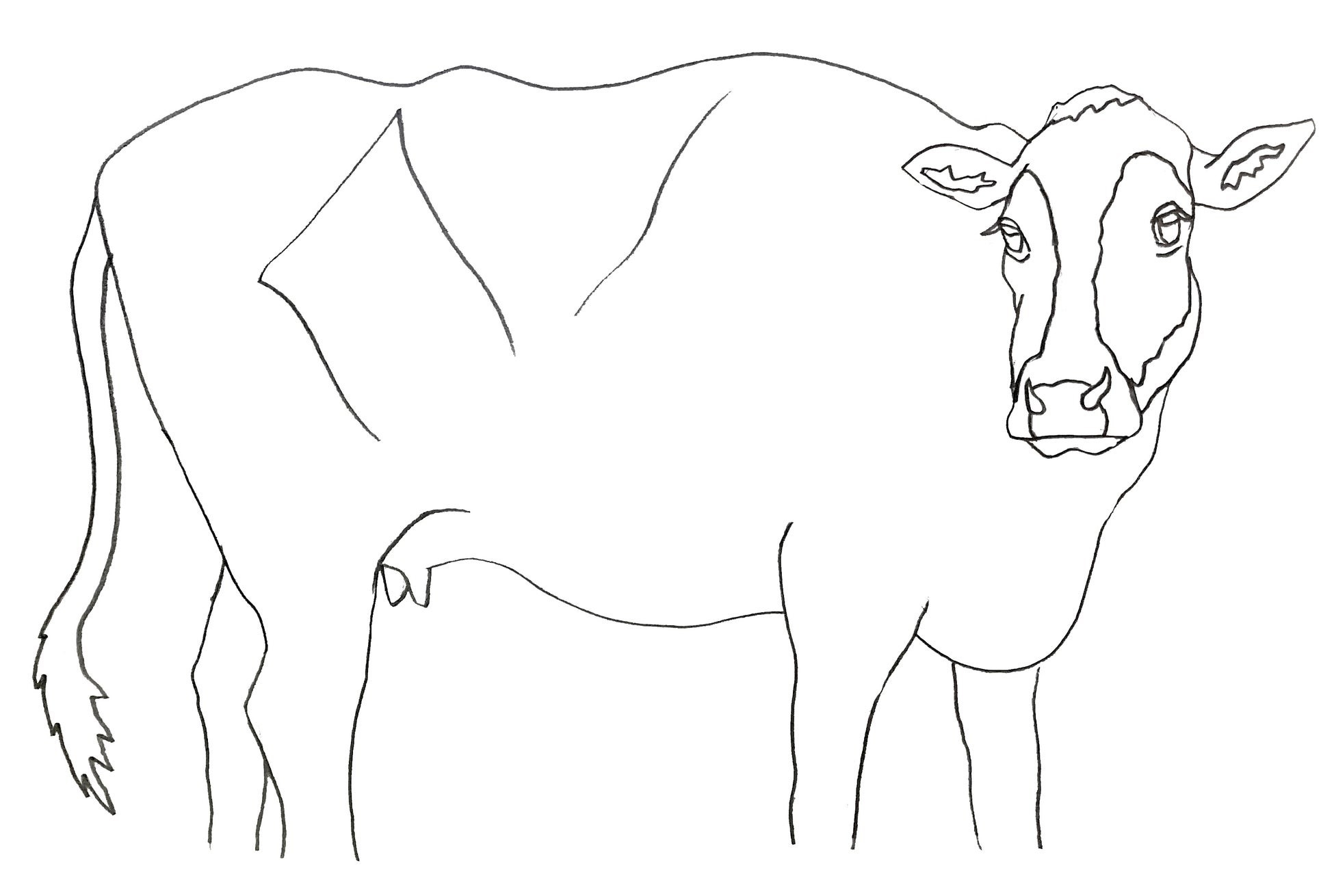 キャンバス下絵イメージ