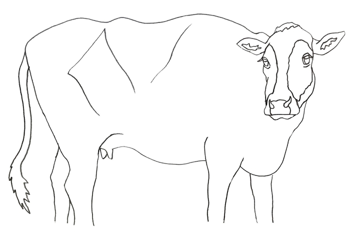 キャンバス下絵イメージ