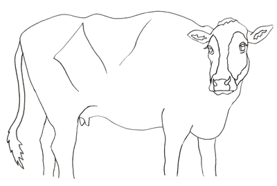 キャンバス下絵イメージ