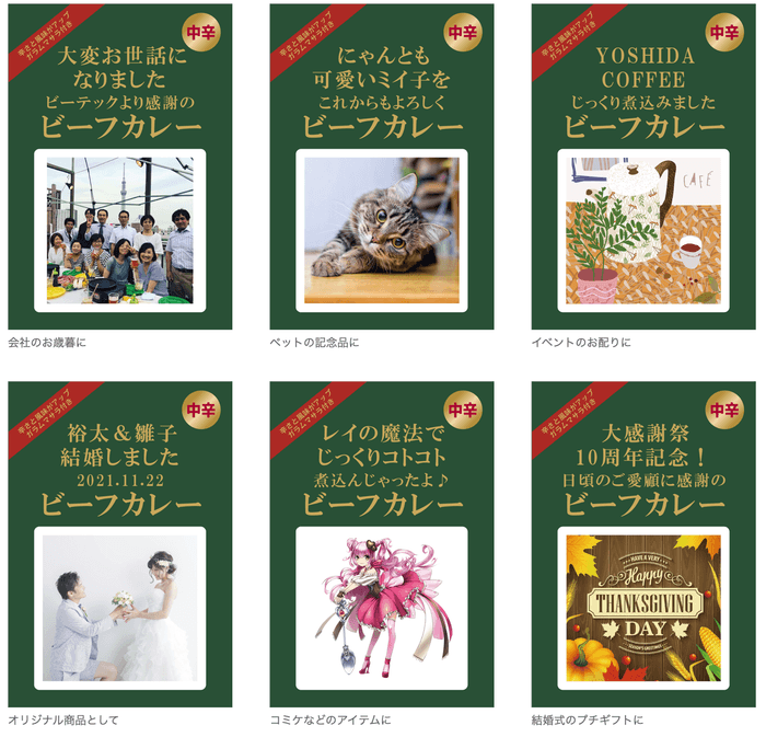 ビーフカレー/オリジナルオーダー 作例