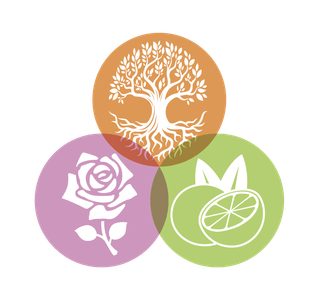 qdHZQ7QiHoKC0GWaPWDM.png?w=940&h=940