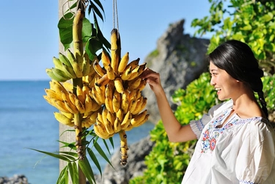 qdjl6yz1M8tCItkv5O6T.jpg?w=940&h=940