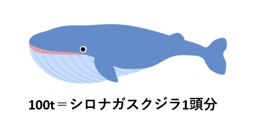 qdwEWnJpwWI27DvUmNQh.png?w=940&h=940