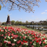 mitsukophoto撮影場所:浮間公園
