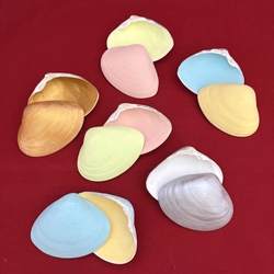 【アップサイクル×日本の伝統】ハマグリ貝殻でつなぐ貝合わせ文化を守りたい