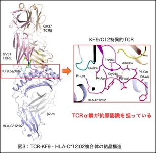 qfb17hGhgEMFaY9oIsSE.jpg?w=940&h=940