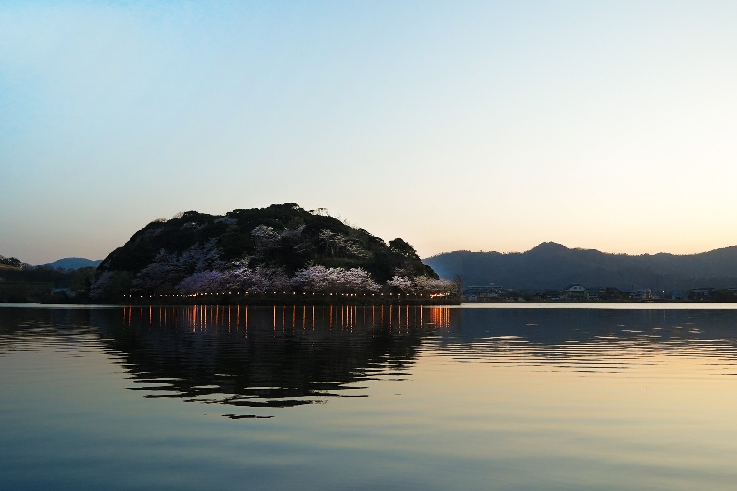 【もうすぐ開花‥湖越しに望む桜色】桜とのペアリングを愉しむナチュラルワイン。こころ凪ぐ春の午後　京都・丹後「HOTEL&湖邸 艸花 -そうか-」