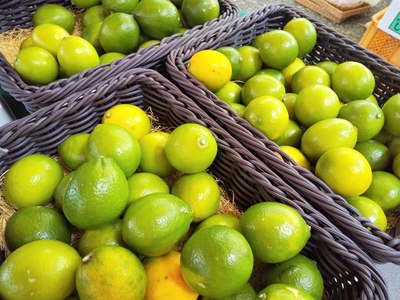 qgeUGUc0j6TIzukiLTIf.jpg?w=940&h=940