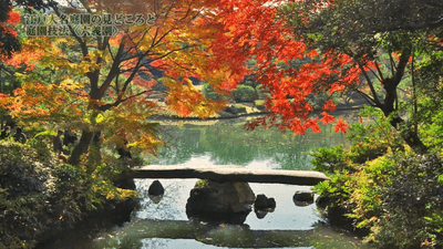 qiH1UW7SeFVU3E3YKwS0.png?w=940&h=940