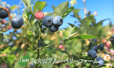 qiMPWajJLlBaZZZVy0g6.png?w=940&h=940