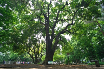 qjqHsvNGzLmULoTRoW2y.jpg?w=940&h=940