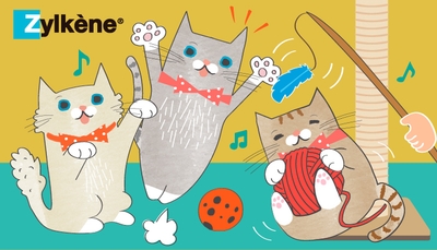 qlPjhs1BmnIey0kkVYPT.jpg?w=940&h=940