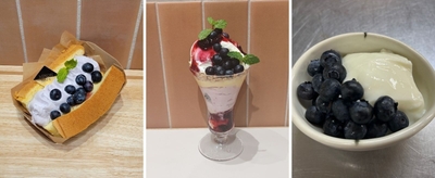 左から米粉の自家製ふわもちシフォンサンド～長野県産ブルーベリー～単品750円（みのりカフェ銀座三越）／長野県産ブルーベリーとレアチーズのDXパフェ1,490円（みのる食堂銀座三越） ／信州牛乳杏仁豆腐の長野県産ブルーベリーのせ　429円（和牛焼肉信州そだち）※7月7日～提供