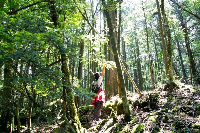 当施設で体験できる青木ヶ原樹海ツアーツアー
