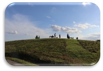 qmjepDBmadzuml4ivhFd.jpg?w=940&h=940