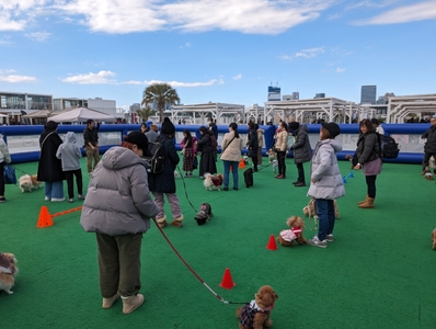 qn8wFRrbMRu4JN7vsYOq.jpg?w=940&h=940