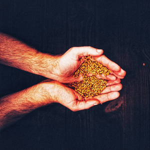 qnCBoirdYbEKsKX2MO2f.png?w=940&h=940