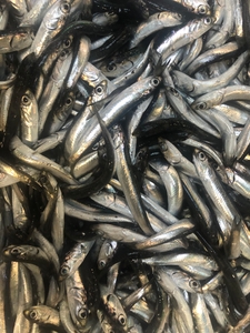 qnq4Vs00qPSW93Z6f0er.jpeg?w=940&h=940