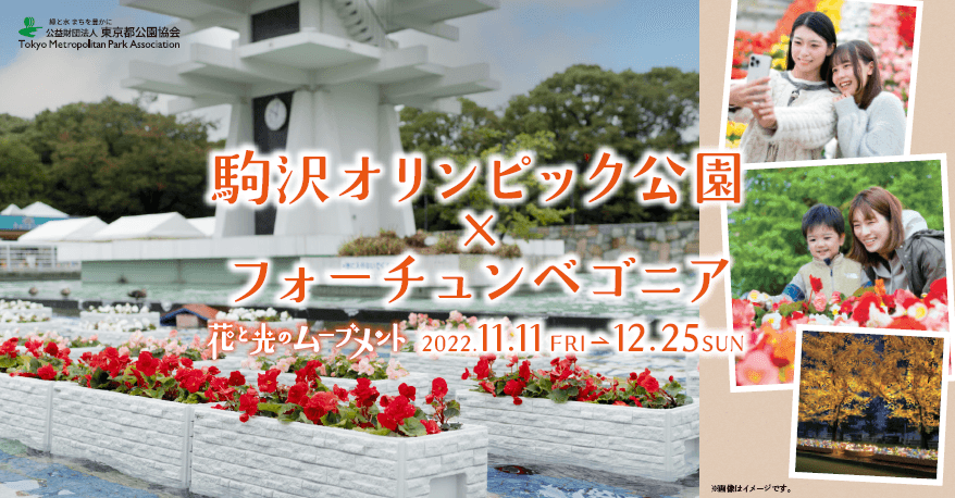 花々と太陽光イルミネーションで華やぐ！ 晩秋の駒沢オリンピック公園「花と光のムーブメント」11月11日スタート！