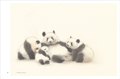 qo3vCAfLGyG1gVAVM4Af.jpg?w=940&h=940