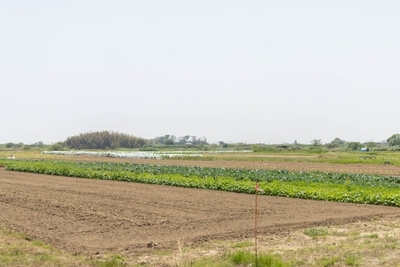 qoFMzjN1gYYon1F4gnLJ.jpg?w=940&h=940