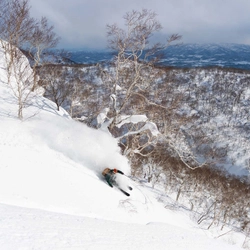 映画監督でありスキーヤーのエリック・ポラード氏が手掛けた、 北海道・ニセコの新作ショートフィルムが10月3日にリリース