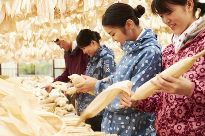 qpr3NqxRKvuydoFJhIbJ.jpg?w=940&h=940