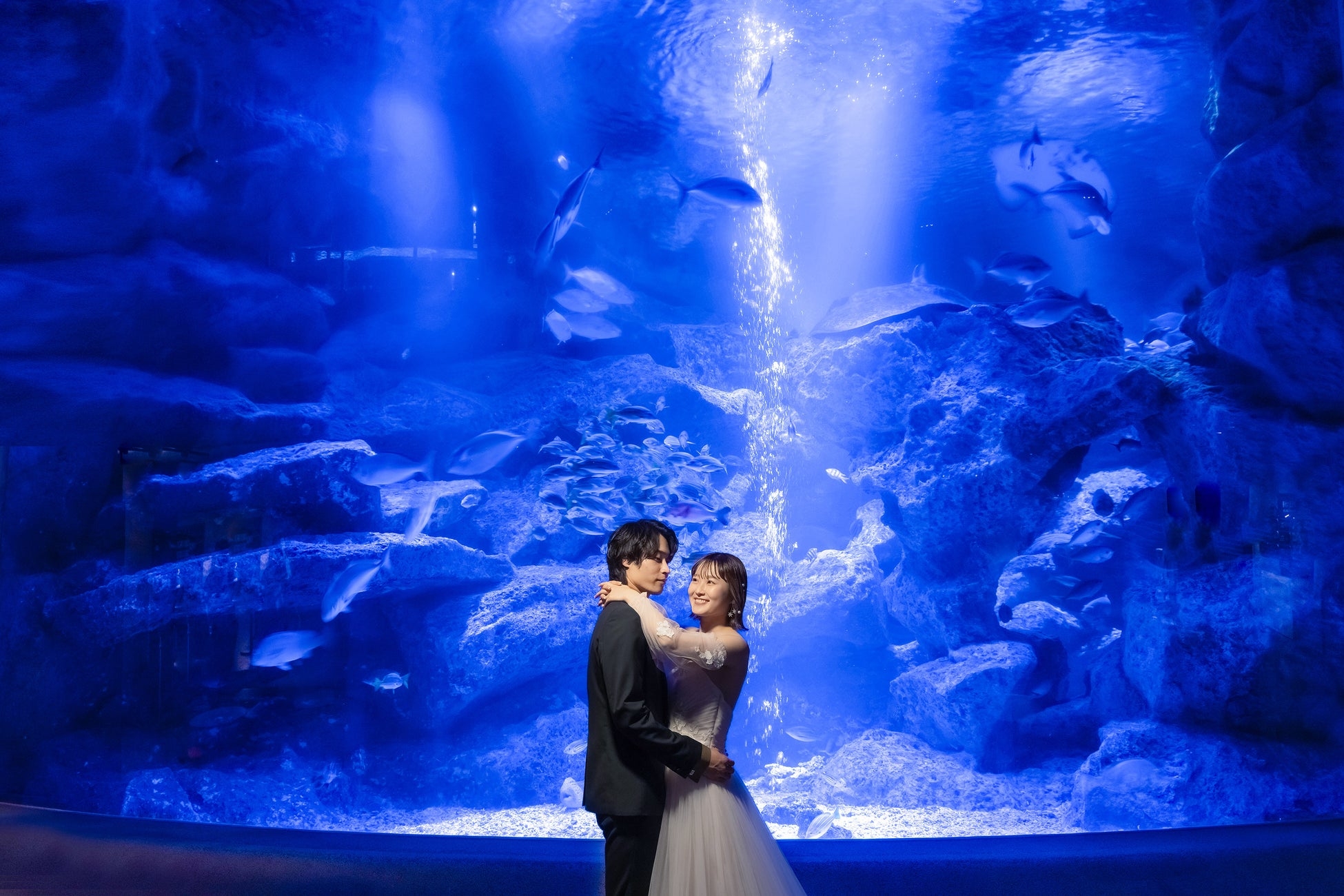 『すみだ水族館』で海のいきものたちと一緒に特別な結婚写真を。スタジオAQUA浅草店で予約受付スタート