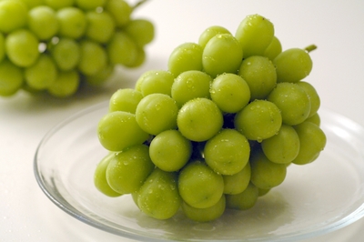 qqEIGhPAARQl6oGGSaVx.jpg?w=940&h=940