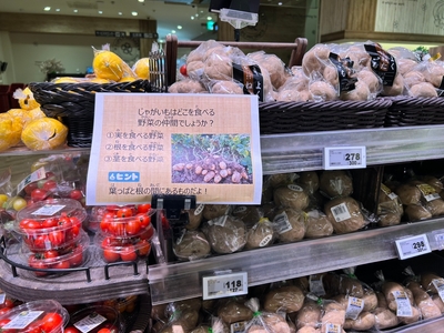 qry5DXifwyYYN7Y7ad6i.jpeg?w=940&h=940