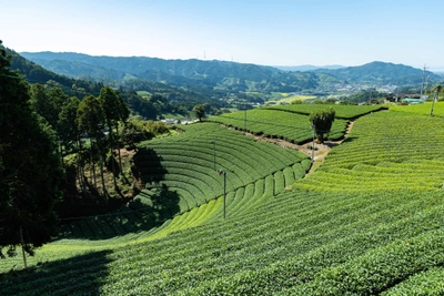 qs2JvDQMsnH2ATVouWZ8.jpg?w=940&h=940