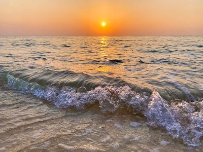 qsL9Qh1L0cQ7s8s6iY0r.jpg?w=940&h=940