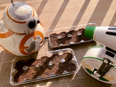 qtLEyFn9VVrD3Q1IQteu.jpg?w=940&h=940