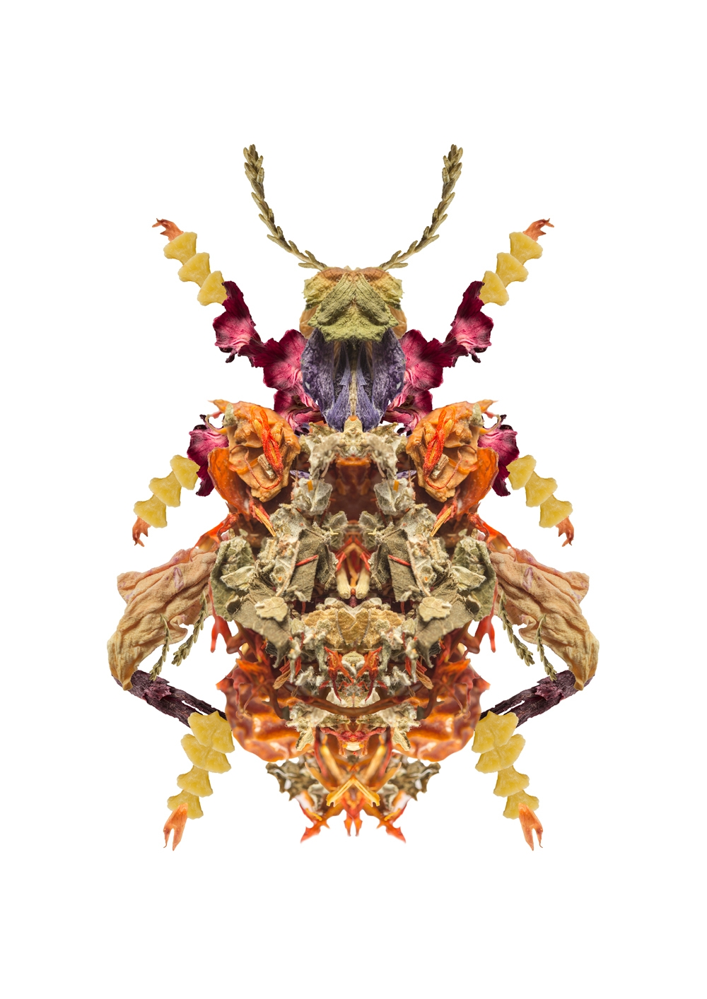 井上拓海《Life-e-motion「モモブトオオルリハムシ(Sagra buqueti)」》2018