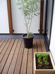 quurXIIHXBdfyVS8DP3K.jpg?w=940&h=940