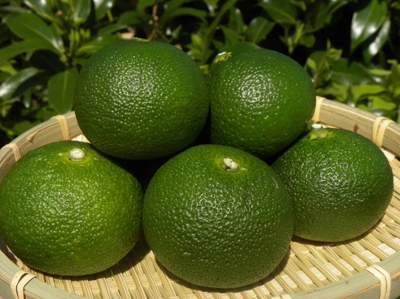 quzFPbnLjQjf3j1hX6Ak.jpg?w=940&h=940