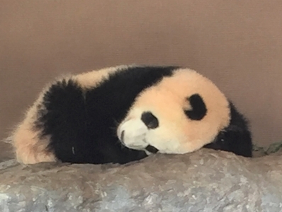 qvBncV3Er7d5L6DykP1P.jpg?w=940&h=940