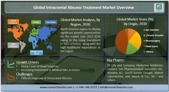 頭蓋内膿瘍治療市場 シェア、地域別展望、成長動向、主要プレーヤー、2030年までの競争戦略と予測