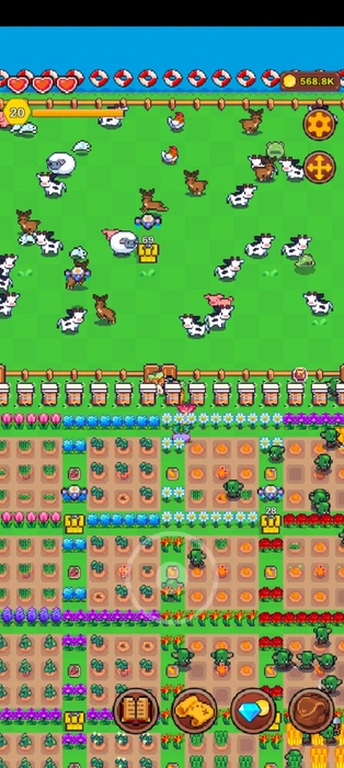 アイランドライフ(6)