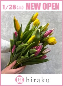 qxt6DIJ3FkiUkRasgwqR.jpg?w=940&h=940