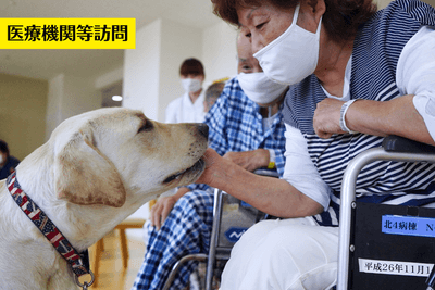 qysvxJcb6fqKsofwnhu6.png?w=940&h=940