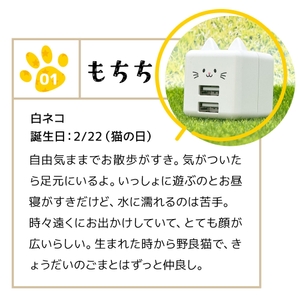 qzSzf2quRtPMbWGpsm2p.jpg?w=940&h=940