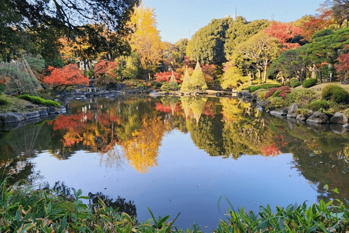 心字池に映る紅葉と雪吊り