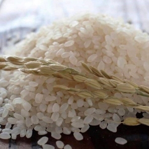 r0myfJhi5Q9fa62QhpjP.jpg?w=940&h=940